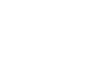 DragonAsh